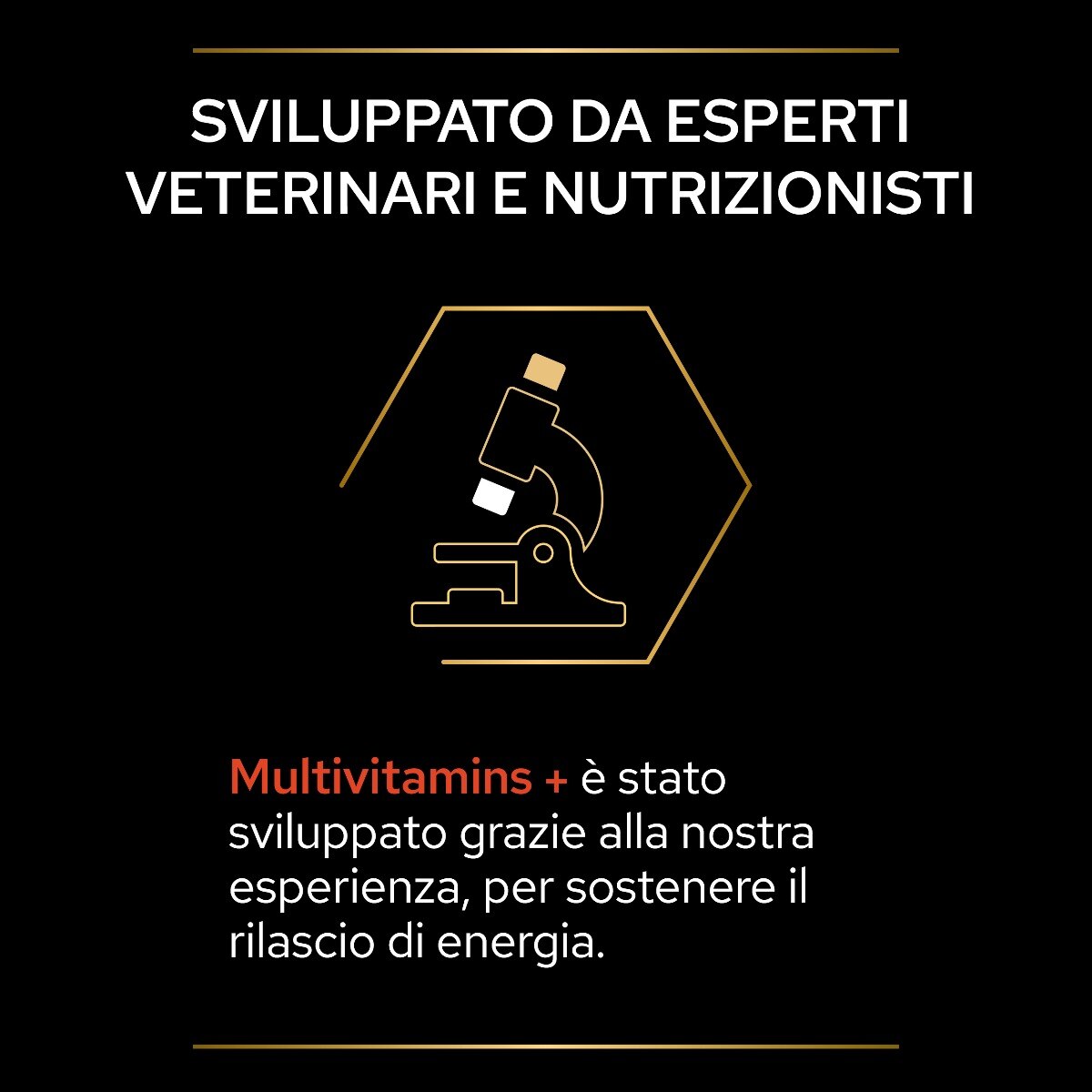 Purina - Integratore Multivitaminico Supplements Multivitamin+ Gatto 60g