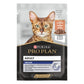 Purina - Indoor Buste Pro Plan Salmone in Salsa per Gatti Adulti 85g