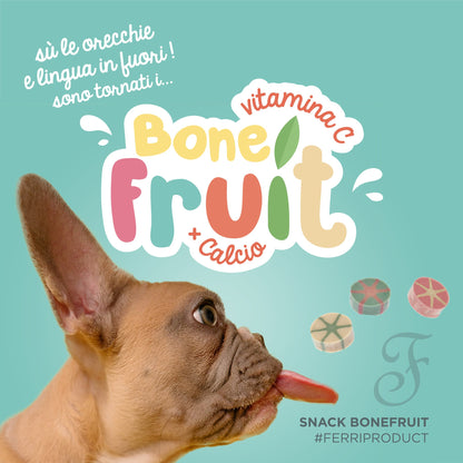 Ferribiella - Snack per Cani Vegetali con Frutta ricco di Calcio e Vitamina C Bone Fruit 100g