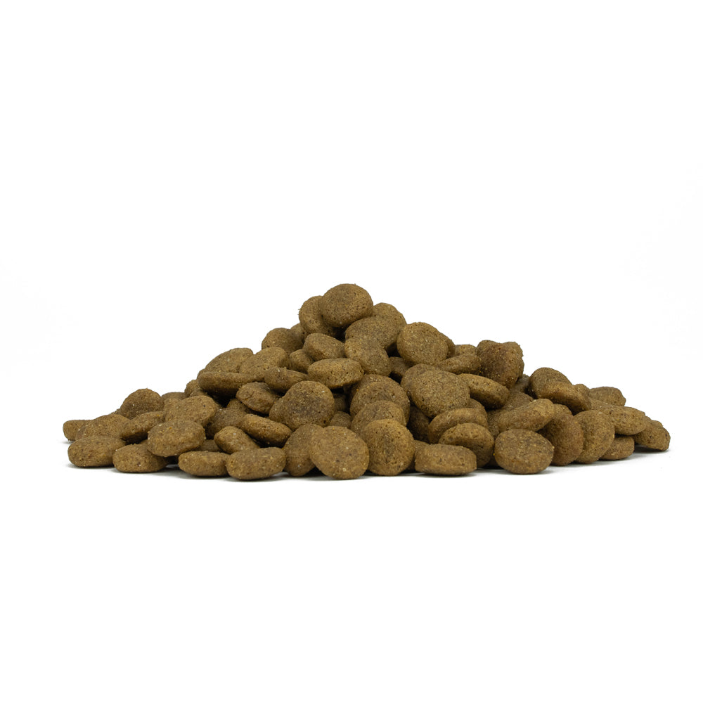 Forza10 - Crocchette per Cani di Piccola Taglia con Disturbi Intestinali Intestinal Colon Fase 2 Active Vet Diet Dottor Graziano Pengo 1,5 Kg