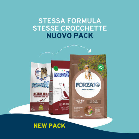 Forza10 - Crocchette all'Agnello Mantenimento Per Cani Adulti di tutte le Taglie All Size Maintenance 12 Kg