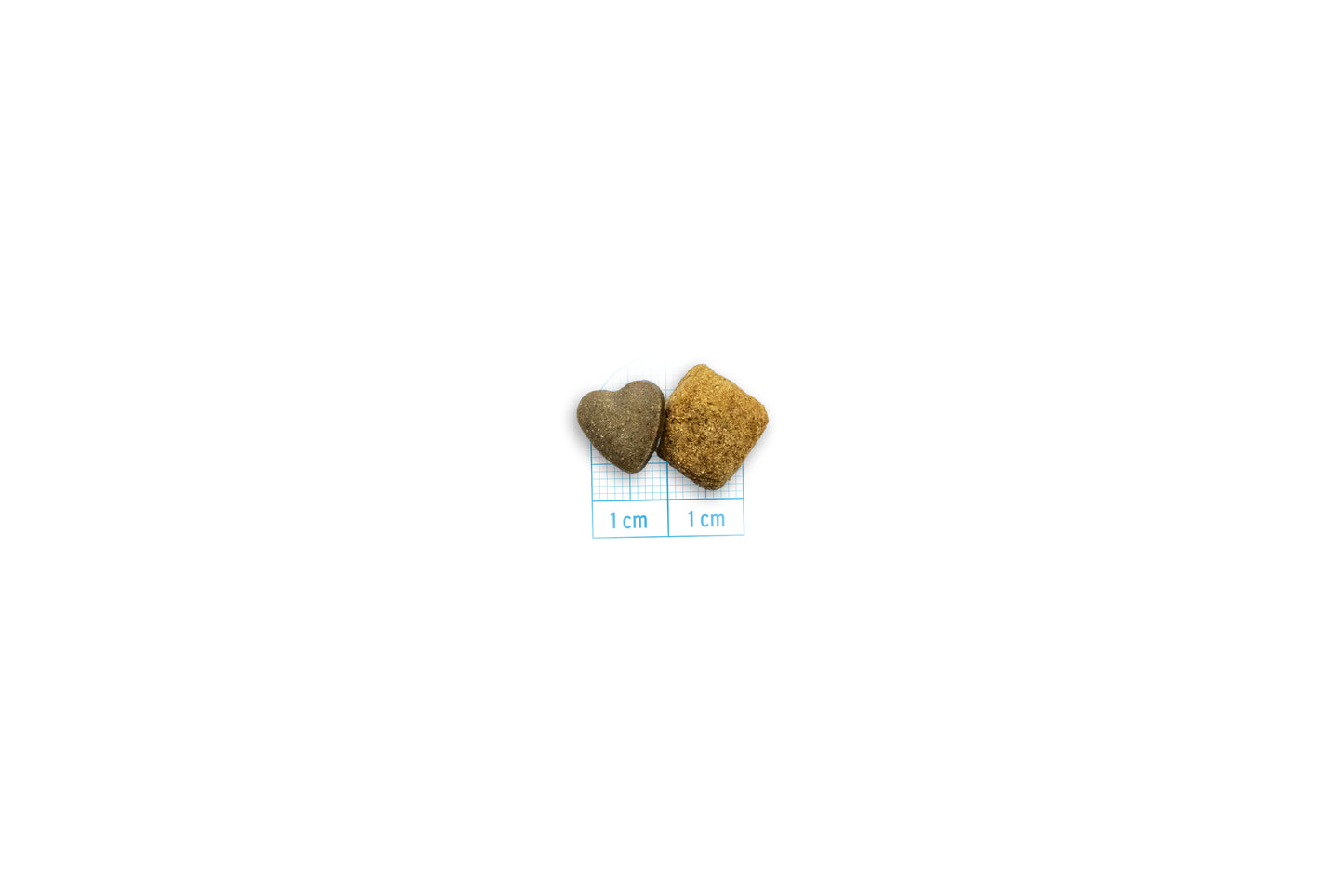 Forza10 - Crocchette Urinary per Cane Adulto con patologia al Tratto Urinario Medium 1,5 Kg