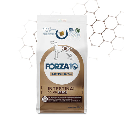 Forza10 - Crocchette per Cani Adulti di Media e Grossa Taglia con disturbi INTESTINALI Fase 1 PESCE Active Line Intestinal Colon Dott. Graziano Pengo