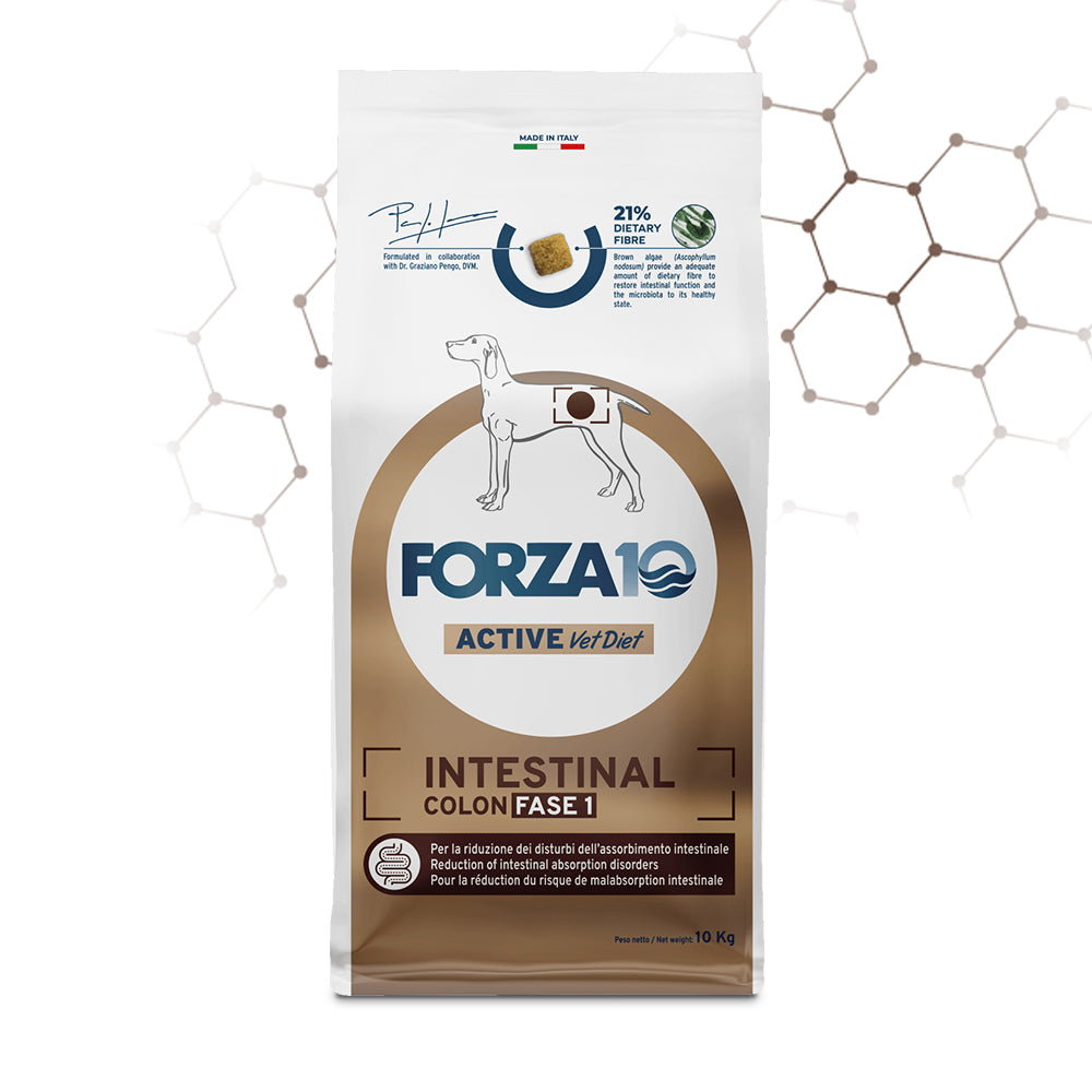 Forza10 - Crocchette per Cani Adulti di Media e Grossa Taglia con disturbi INTESTINALI Fase 1 PESCE Active Line Intestinal Colon Dott. Graziano Pengo