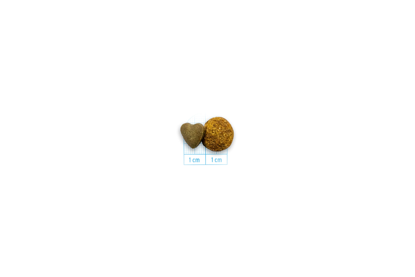 Forza10 - Crocchette Intestinal per Gatti con problemi Intestinali Active 400g