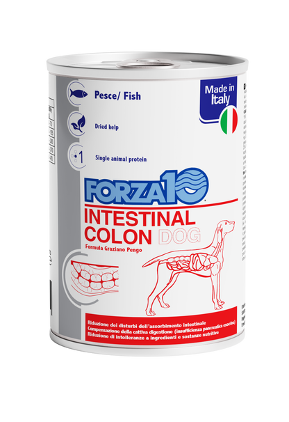 Forza10 - Lattina per Cani con disturbi DIGESTIVI e INTESTINALI Intestinal Colon 390g