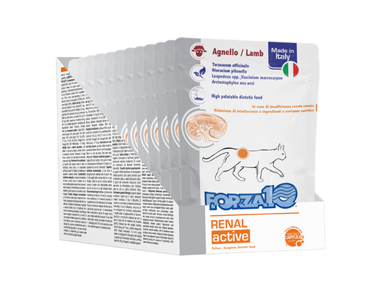 Forza10 - Umido all'Agnello per Gatti con Patologie Renali Renal Active 100g