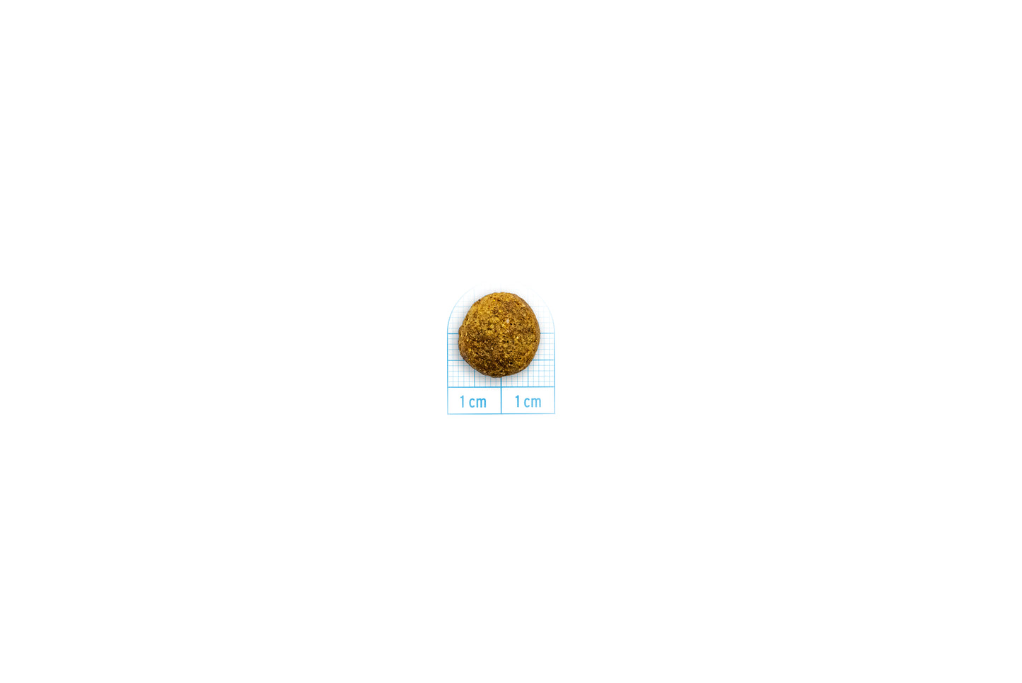Forza10 - Crocchette Intestinal Colon per Gatti 1,5 Kg