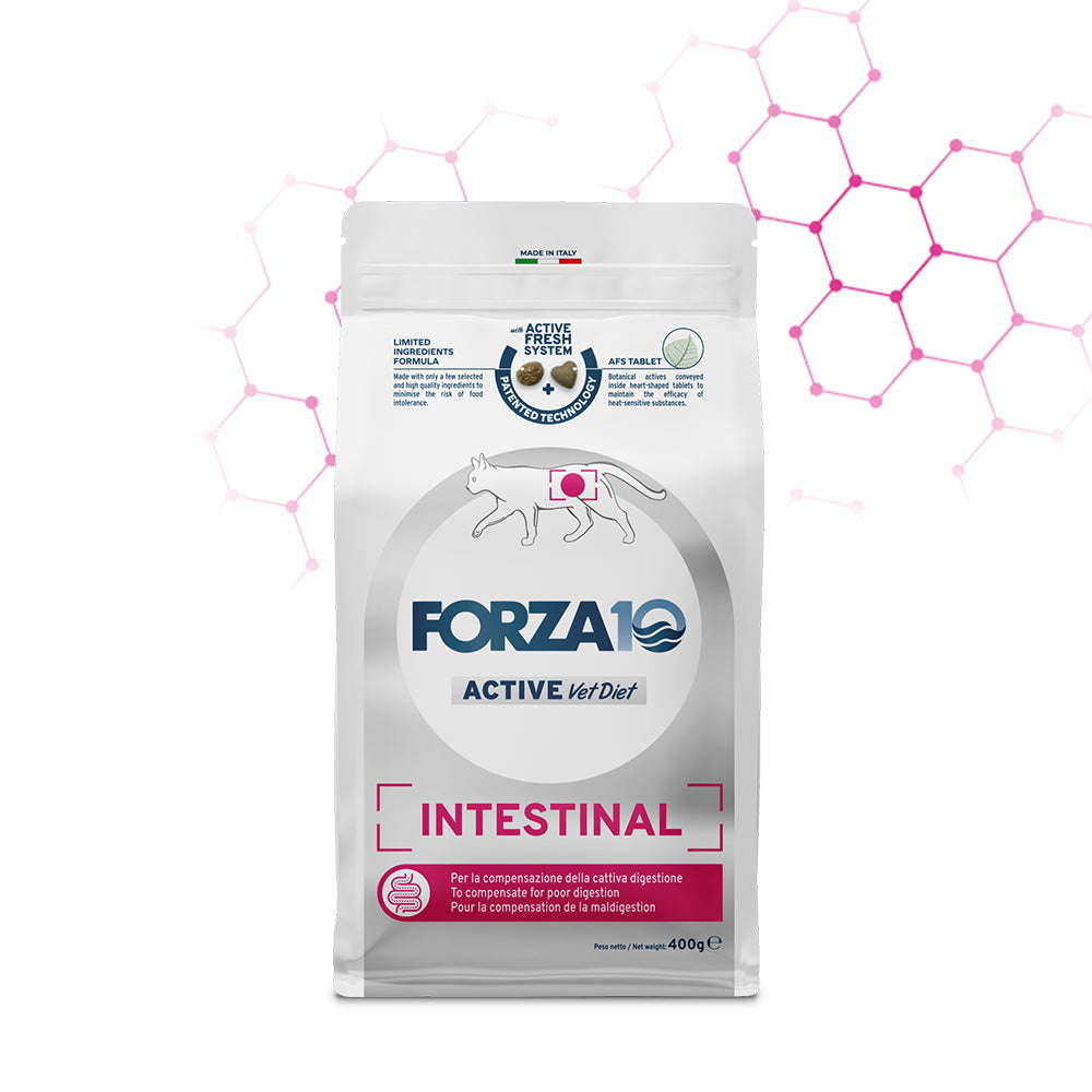 Forza10 - Crocchette Intestinal per Gatti con problemi Intestinali Active 400g