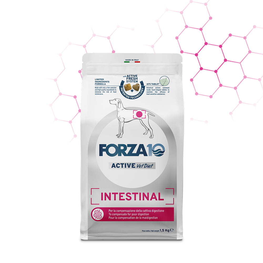 Forza10 - Intestinal Crocchette per Cani Adulti con disturbi Intestinali Active 1,5Kg