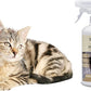 Linea 101 - Deodorante Elimina Cattivi Odori per la Lettiera del Gatto Lettierazero 500ml