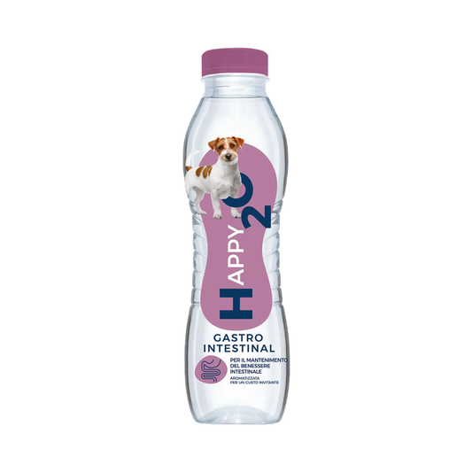 Acqua cane, acqua per cane, acqua per cani, acqua cani, Happy2O Gastrointestinal, Happy2O cane, Happy2O Gastrointestinal cane, acqua funzionale per cani, supporto intestinale cane, benessere intestinale cane, regolarità intestinale cane, digestione cane, microbiota intestinale cane, FOS per cani, prebiotici per cani, flora intestinale cane, flatulenza cane, supporto digestivo cane, Happy2O 500 ml