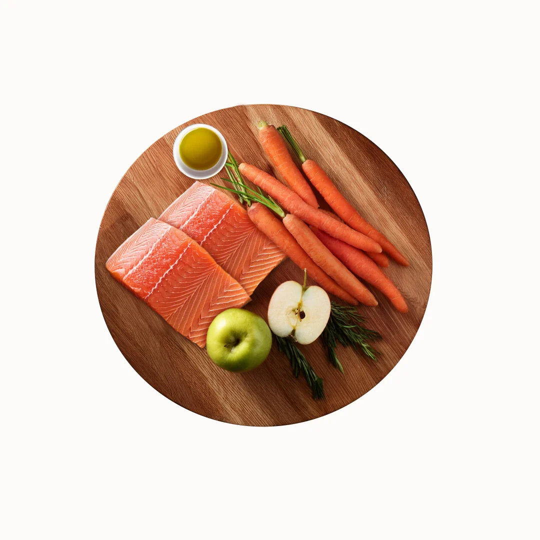 Crocchette monoproteiche cane salmone, Alimento ipoallergenico cane, Crocchette con omega 3 e 6, Cibo secco cane naturale, Made in Puglia crocchette, Althea Mare monoproteico