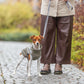 cappottino cane, impermeabile cane, Trixie Pontis Rain, cappottino cane Trixie, cappottino cane con pettorina, Trixie Pontis Rain cane, cappottino impermeabile cane, cappottino pioggia cane, cappottino cane con pettorina integrata, impermeabile cane con pettorina, cappottino cane riflettente, cappotto cane pioggia, abbigliamento cane Trixie, cappottino cane regolabile, giacca impermeabile cane