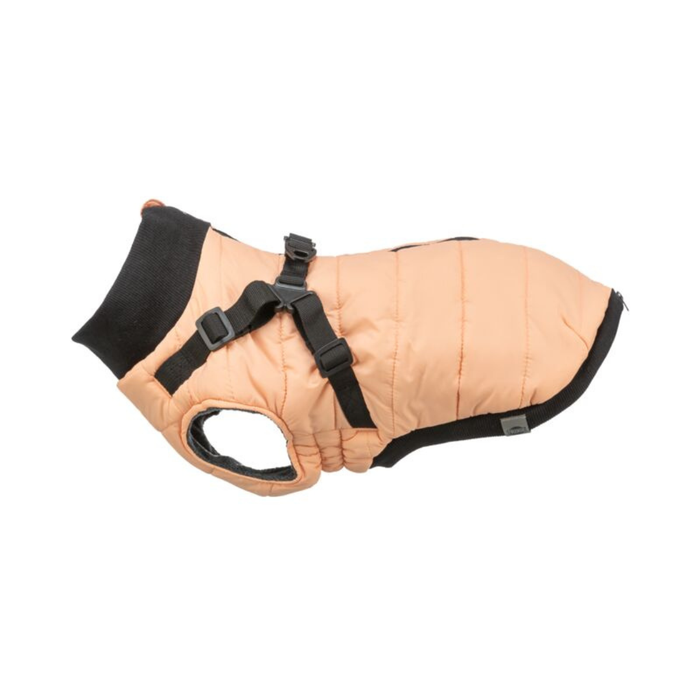 cappottino cane con pettorina, Trixie Pontis, Trixie Pontis Albicocca, cappottino cane Trixie, cappottino cane con pettorina integrata, cappotto cane imbottito, cappottino cane pile, cappottino cane Limited Edition, abbigliamento cane Trixie, cappotto cane albicocca, giacca cane con pettorina, cappottino cane poliestere, cappottino cane regolabile