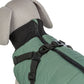 cappottino cane con pettorina cane, Trixie Pontis, Trixie Pontis salvia, cappottino cane Trixie, cappottino cane con pettorina integrata, cappotto cane imbottito, cappottino cane pile, cappottino cane Limited Edition, abbigliamento cane Trixie, cappotto cane salvia, giacca cane con pettorina, cappottino cane poliestere, cappottino cane regolabile