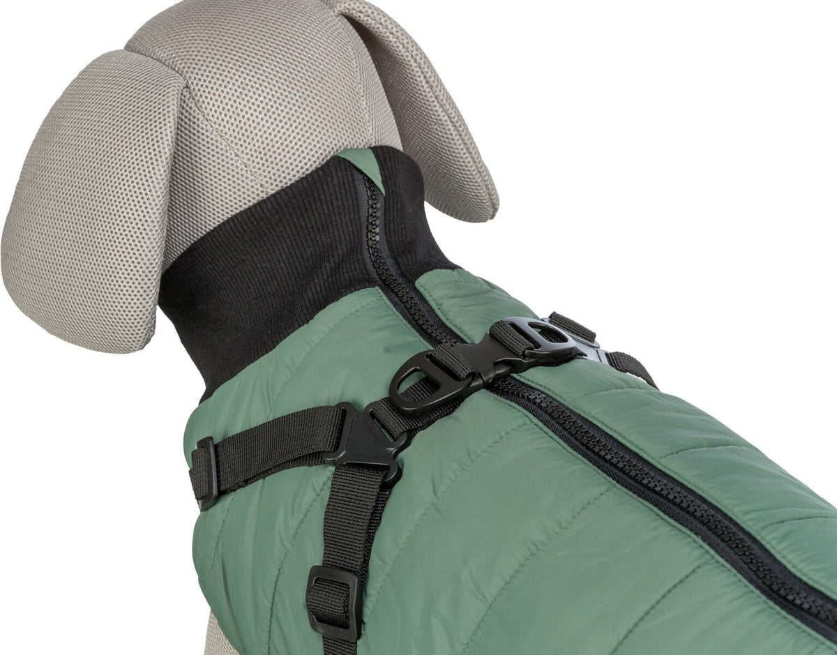 cappottino cane con pettorina cane, Trixie Pontis, Trixie Pontis salvia, cappottino cane Trixie, cappottino cane con pettorina integrata, cappotto cane imbottito, cappottino cane pile, cappottino cane Limited Edition, abbigliamento cane Trixie, cappotto cane salvia, giacca cane con pettorina, cappottino cane poliestere, cappottino cane regolabile