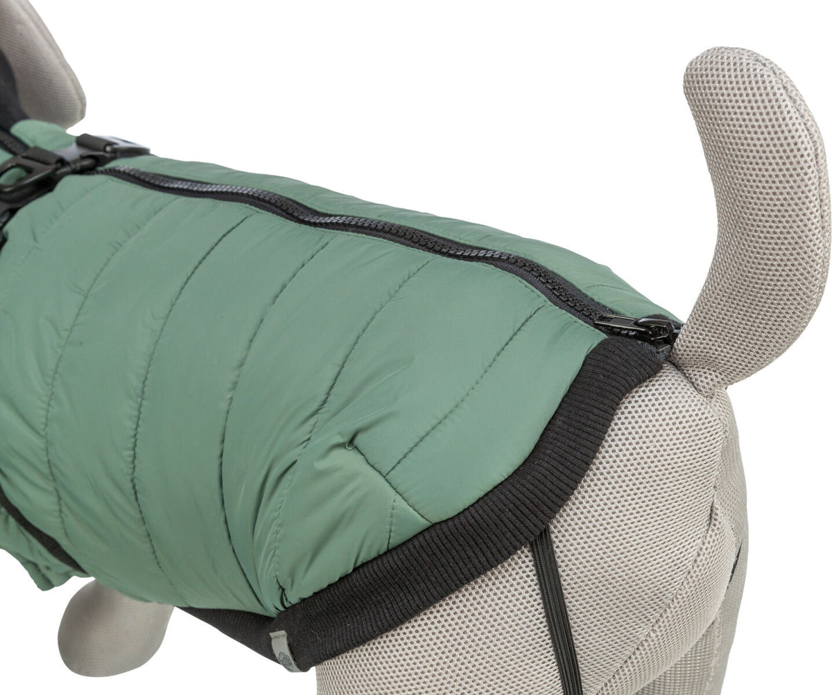 cappottino cane con pettorina cane, Trixie Pontis, Trixie Pontis salvia, cappottino cane Trixie, cappottino cane con pettorina integrata, cappotto cane imbottito, cappottino cane pile, cappottino cane Limited Edition, abbigliamento cane Trixie, cappotto cane salvia, giacca cane con pettorina, cappottino cane poliestere, cappottino cane regolabile