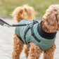 cappottino cane con pettorina cane, Trixie Pontis, Trixie Pontis salvia, cappottino cane Trixie, cappottino cane con pettorina integrata, cappotto cane imbottito, cappottino cane pile, cappottino cane Limited Edition, abbigliamento cane Trixie, cappotto cane salvia, giacca cane con pettorina, cappottino cane poliestere, cappottino cane regolabile