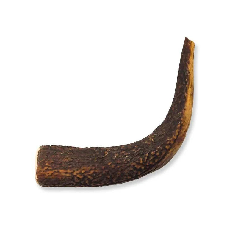 corna di cervo cane, snack masticativo naturale cane, corno cervo Barf Croci, igiene dentale naturale cane, croci Niki Natural Barf corna