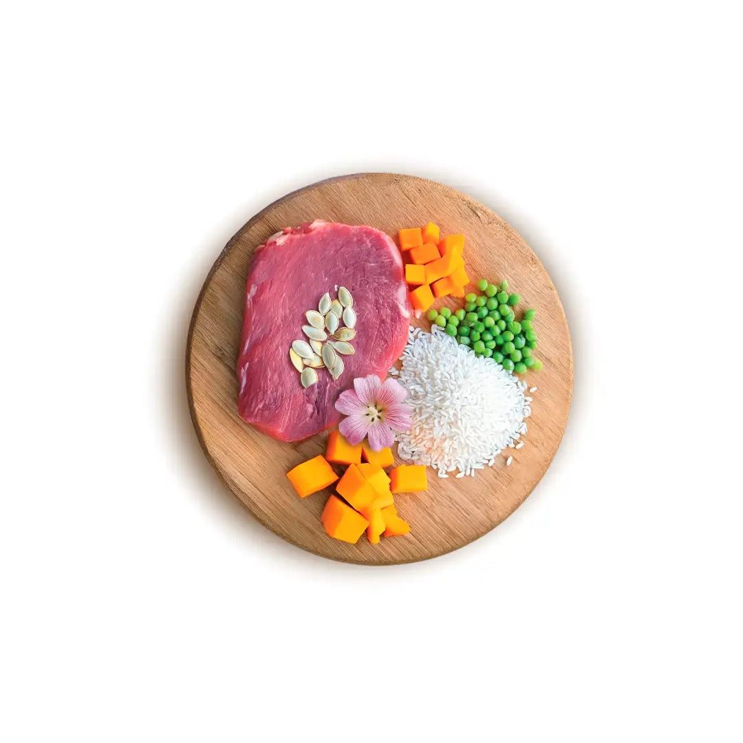 crocchette Althea gatto, Althea Adult Super Premium, crocchette gatto adulto, cibo secco per gatti adulti, crocchette gatto manzo, crocchette gatto salmone, alimento completo gatto adulto, crocchette gatto con zucca, crocchette gatto con riso, Althea gatto 400 g, cibo per gatti Super Premium