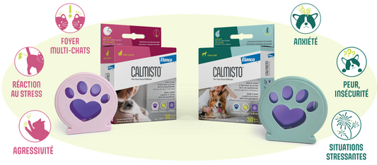 diffusore antistress cani, calmante naturale per cani, feromone cani Elanco, Calmisto diffusore per cani, cani stressati soluzioni, ansia cane rimedi, cane agitato casa
