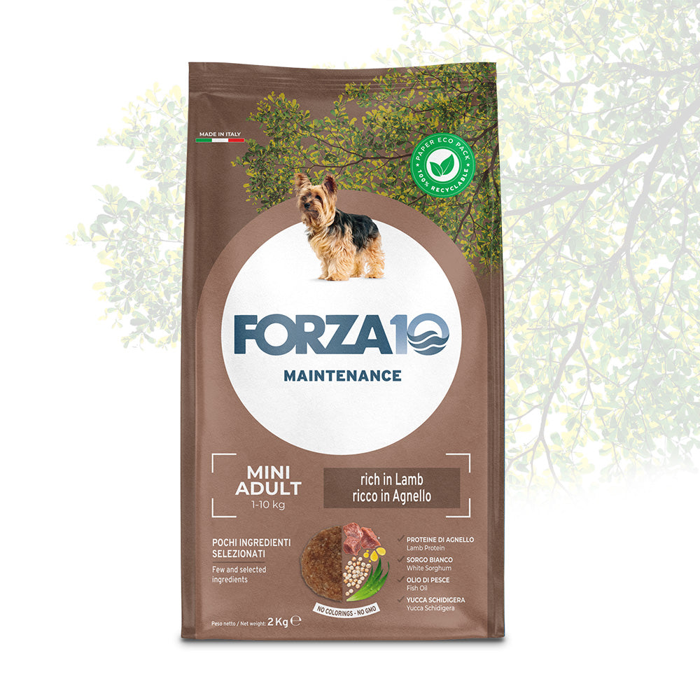 Forza 10 Crocchette cane, Forza 10 Mini Agnello, crocchette cane piccola taglia agnello, Forza 10 mantenimento cane, cibo secco cane adulto mini, crocchette digeribili cane