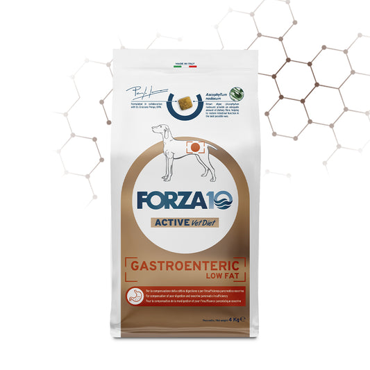 Forza 10 crocchette cane, Forza 10 Gastroenteric Low Fat, crocchette cane pancreatite, cibo dietetico pancreatite cane, dieta low fat cane, Forza 10 Active Vet Diet cane