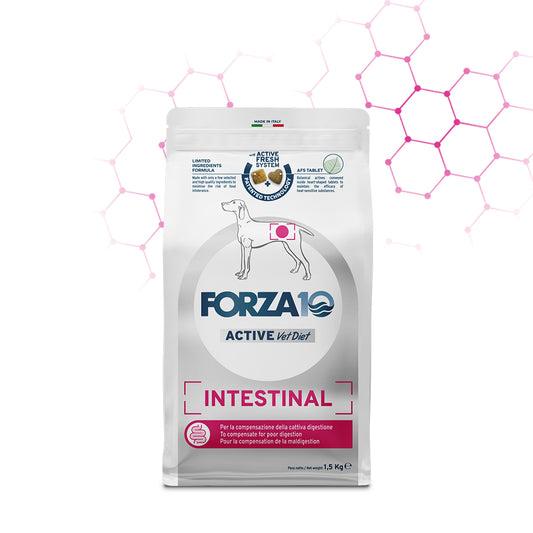 Forza 10 crocchette cane, Forza 10 crocchette pesce, Forza 10 Intestinal Active cane, crocchette cane disturbi intestinali, cibo dietetico intestinale cane, Forza 10 Active Vet Diet, crocchette veterinarie cane