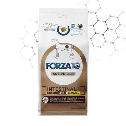 Forza 10 crocchette cane, Forza10 Intestinal Colon Fase 1, crocchette cane disturbi intestinali, cibo dietetico colon cane, Forza10 Active Vet Diet, crocchette agnello cane intestino sensibile