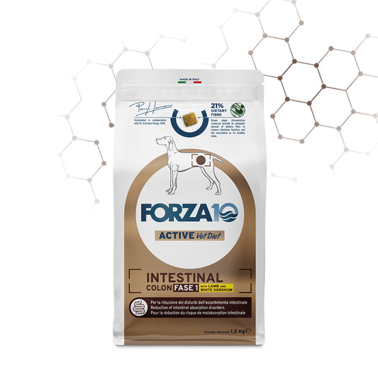 Forza 10 crocchette cane, Forza10 Intestinal Colon Fase 1, crocchette cane disturbi intestinali, cibo dietetico colon cane, Forza10 Active Vet Diet, crocchette agnello cane intestino sensibile