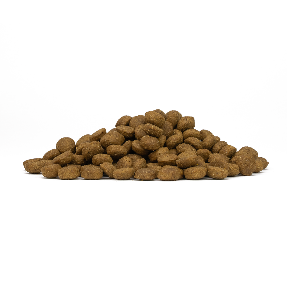 Forza 10 Intestinal Colon Fase 1 Mini Toy, crocchette cane disturbi intestinali, cibo dietetico colon cane, Forza10 Active Vet Diet, crocchette veterinarie cane piccola taglia, forza 10 crocchette pesce