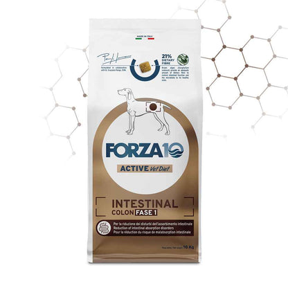 Forza 10 crocchette cane, Forza 10 crocchette cane pesce, Forza 10 Intestinal Colon Fase 1 Pesce, crocchette cane disturbi intestinali, cibo dietetico colon cane, Forza 10 Active Vet Diet, crocchette al pesce cane intestino sensibile