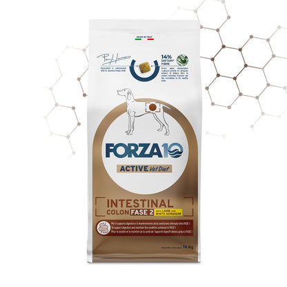 Forza 10 crocchette cane, Crocchette dietetiche Forza10 Fase 2 con agnello e sorgo, per cani con diarrea, colite, vomito e disturbi intestinali. Made in Italy, alta digeribilità, crocchette dieta intestinale cane, Forza10 Fase2 agnello sorgo, crocchette per colite cani, crocchette ipoallergeniche disturbi intestinali