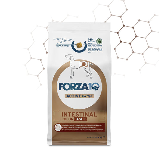 Forza 10 crocchette cane, Forza 10 crocchette pesce, Forza10 Intestinal Colon Fase 2, crocchette cane disturbi intestinali, cibo dietetico colon cane, Forza 10 Active Vet Diet, crocchette veterinarie cane