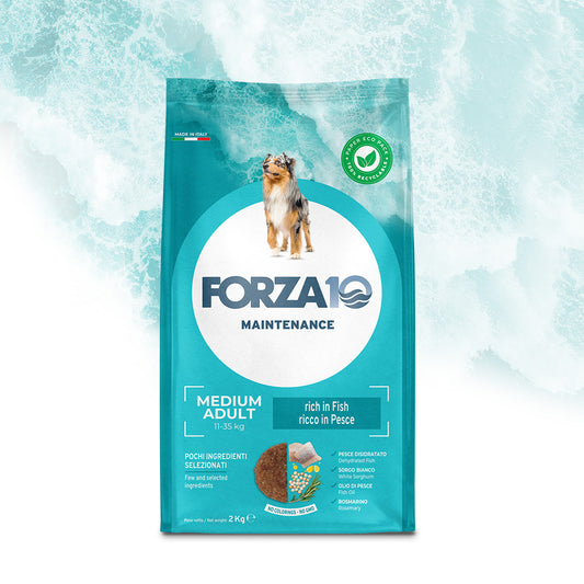 Forza 10 Crocchette Cane Mantenimento, Forza 10 Crocchette Pesce, crocchette al pesce per cani, cibo per cani adulti taglia media, alimentazione cane mantenimento, crocchette Forza10 pesce
