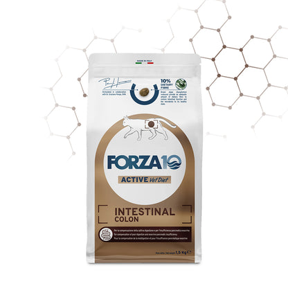 Forza 10 crocchette gatto intestinal colon, Forza10 intestinal colon gatti, crocchette per gatti con problemi intestinali, alimento veterinario per gatti digestione sensibile, dieta veterinaria intestinal colon, cibo monoproteico per gatti, alimento per gatti con intolleranze alimentari, crocchette per gatti con colite, forza 10 vet diet colon, cibo per gatti con problemi digestivi