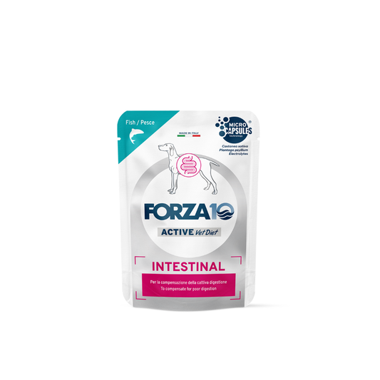 Forza 10 umido cane, Forza 10 Intestinal Active cane, umido cane patologie intestinali, cibo dietetico intestinale cane, Forza10 veterinario cane, umido cane digestione sensibile