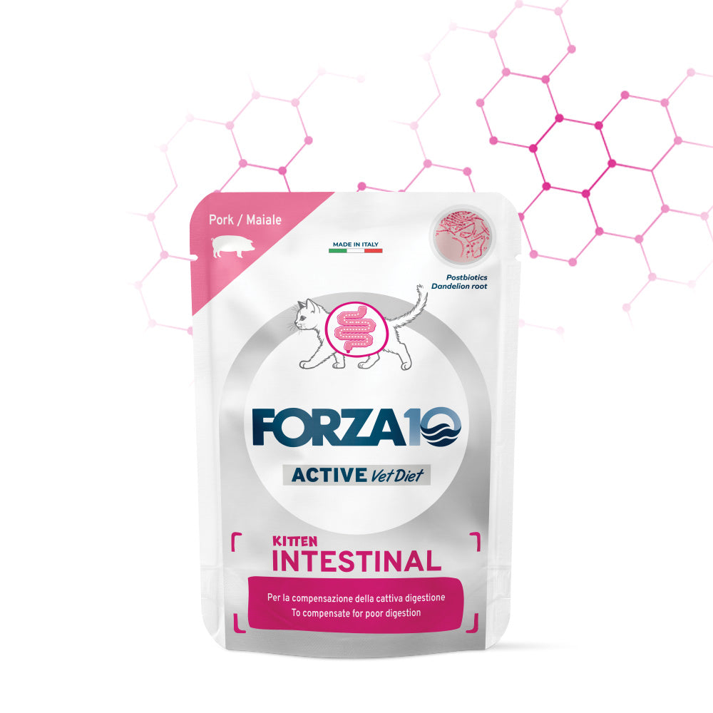 Forza10 Kitten Intestinal, umido gattino digestione delicata, alimento dietetico gattino, umido ipoallergenico gatto cucciolo, Forza10 gatto 80g, alimento con postbiotici gatto, umido gattino intestinale, cibo umido gattino sensibile, alimento gatto con tarassaco, umido completo gattino crescita