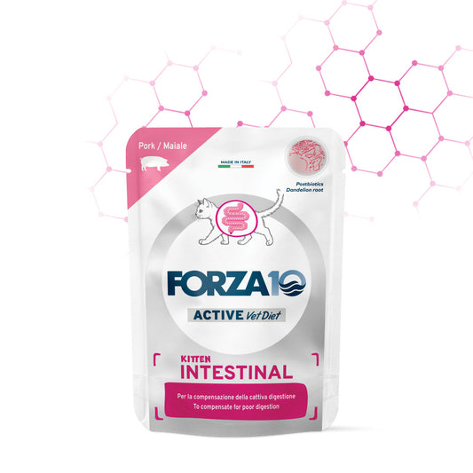 Forza10 Kitten Intestinal, umido gattino digestione delicata, alimento dietetico gattino, umido ipoallergenico gatto cucciolo, Forza10 gatto 80g, alimento con postbiotici gatto, umido gattino intestinale, cibo umido gattino sensibile, alimento gatto con tarassaco, umido completo gattino crescita