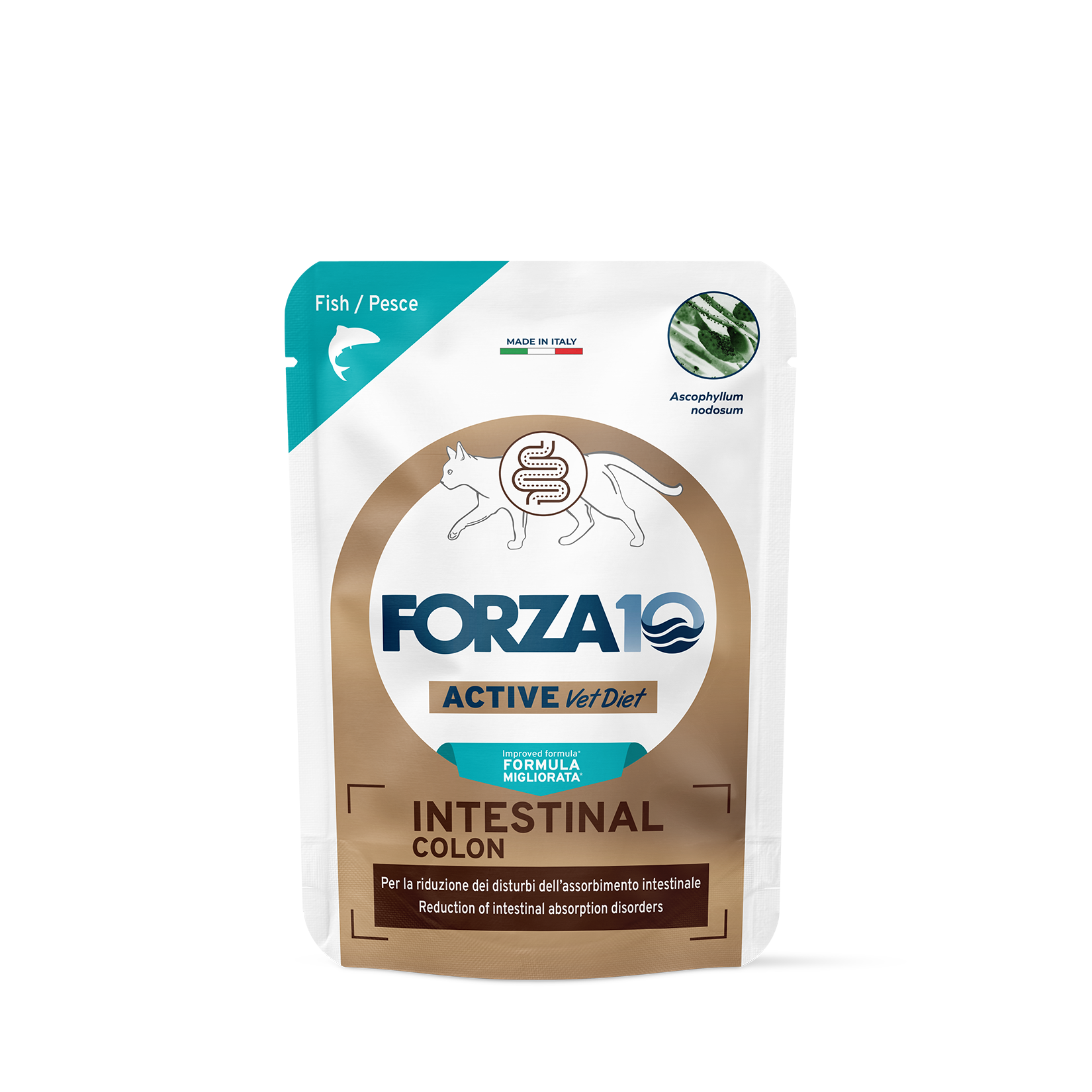 Forza10 Intestinal Colon gatto, alimento dietetico per gatti, cibo umido per gatti con problemi intestinali, salute intestinale gatto, colon irritabile gatto alimentazione, dieta per gatti con diarrea, cibo monoproteico per gatti sensibili, alimento per gatti con colite, buste umido Forza10 80g