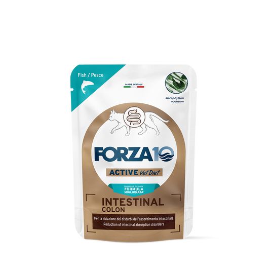 Forza10 Intestinal Colon gatto, alimento dietetico per gatti, cibo umido per gatti con problemi intestinali, salute intestinale gatto, colon irritabile gatto alimentazione, dieta per gatti con diarrea, cibo monoproteico per gatti sensibili, alimento per gatti con colite, buste umido Forza10 80g