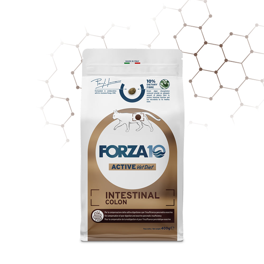 Forza10 intestinal colon gatti, crocchette per gatti con problemi intestinali, alimento veterinario per gatti digestione sensibile, dieta veterinaria intestinal colon, cibo monoproteico per gatti, alimento per gatti con intolleranze alimentari, crocchette per gatti con colite, forza 10 vet diet colon, cibo per gatti con problemi digestivi
