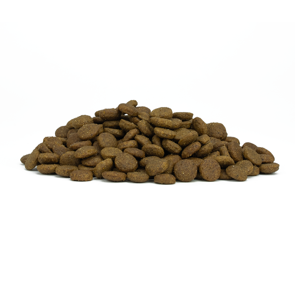 Forza 10 Crocchette Puppy, crocchette cucciolo pesce, crocchette ipoallergeniche cane, alimento ipoallergenico cuccioli cane, cibo low grain cuccioli, Forza10 puppy 1,5 kg