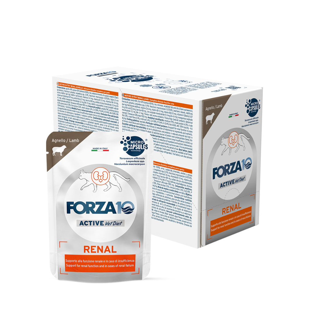 Forza10 Renal Active Agnello 80g, umido per gatti malati renali, cibo dietetico gatto con insufficienza renale, Forza10 Renal Active umido gatto, alimento renale gatto povero di fosforo, supporto funzione renale gatto, Renal diet wet food lamb Forza10, dietetico gatto renale alta appetibilità