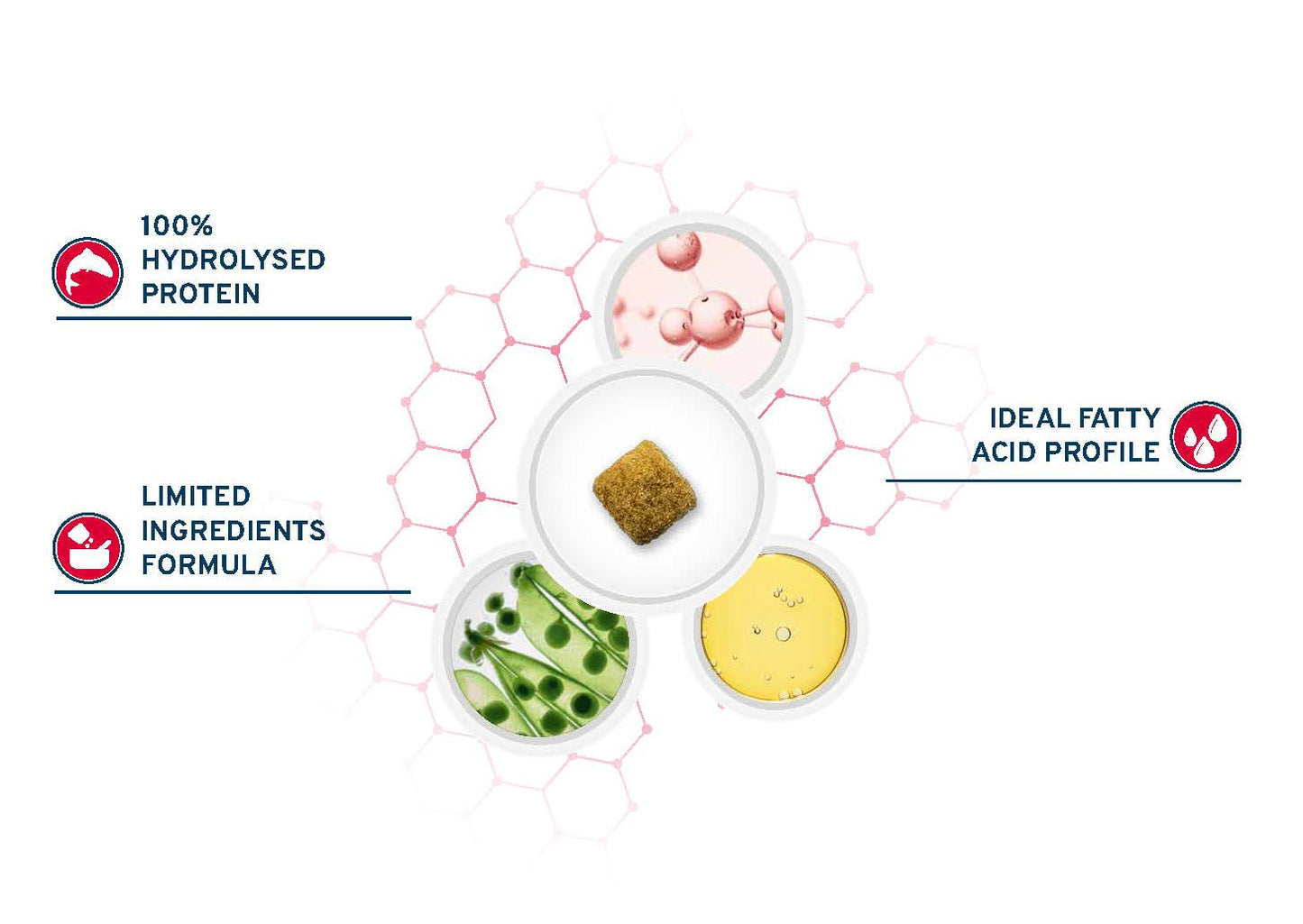 Forza10 Ultra Dermo cane, dieta dermatologica cane, crocchette cane dermatite, cibo per cani allergie cutanee, Forza10 Active Vet Diet 1,5 kg, alimento dermatite atopica cane