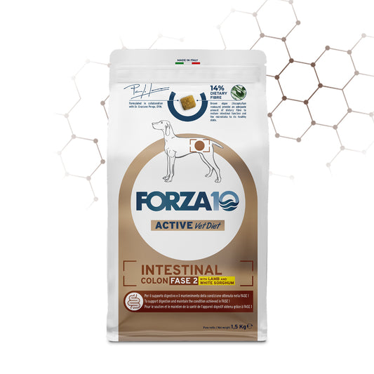 Crocchette dietetiche Forza10 Fase 2 con agnello e sorgo, per cani con diarrea, colite, vomito e disturbi intestinali. Made in Italy, alta digeribilità, crocchette dieta intestinale cane, Forza10 Fase2 agnello sorgo, crocchette per colite cani, crocchette ipoallergeniche disturbi intestinali
