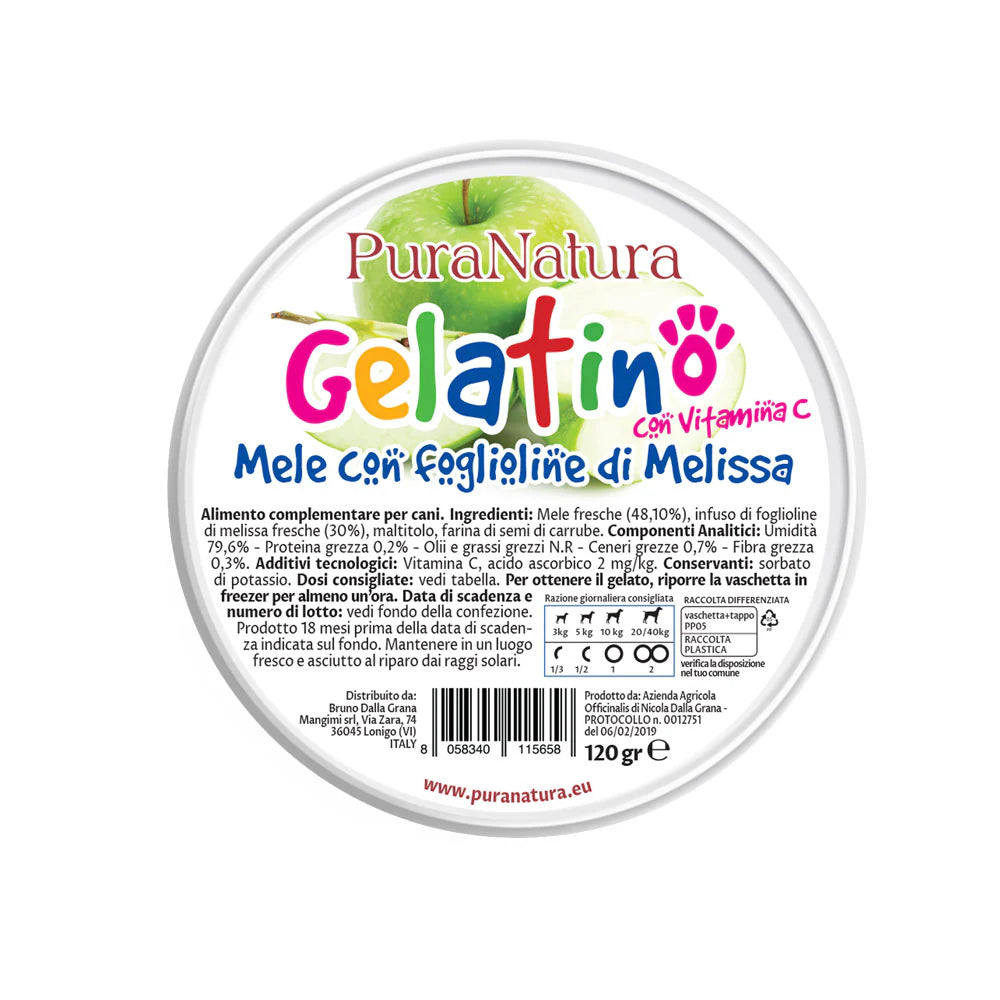 gelato per cani naturale, snack estivo per cani, gelato alla vaniglia per cani, gelato cane senza lattosio, rinfrescante cani estate, Pura Natura cane