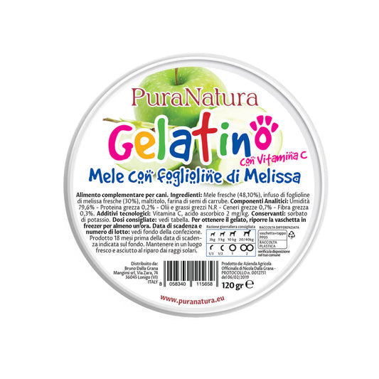 gelato per cani naturale, snack estivo per cani, gelato alla vaniglia per cani, gelato cane senza lattosio, rinfrescante cani estate, Pura Natura cane