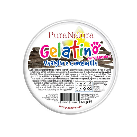 gelato per cani naturale, snack estivo per cani, gelato alla vaniglia per cani, gelato cane senza lattosio, rinfrescante cani estate, Pura Natura cane